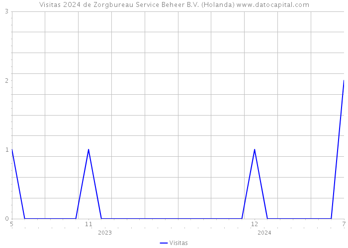 Visitas 2024 de Zorgbureau Service Beheer B.V. (Holanda) 