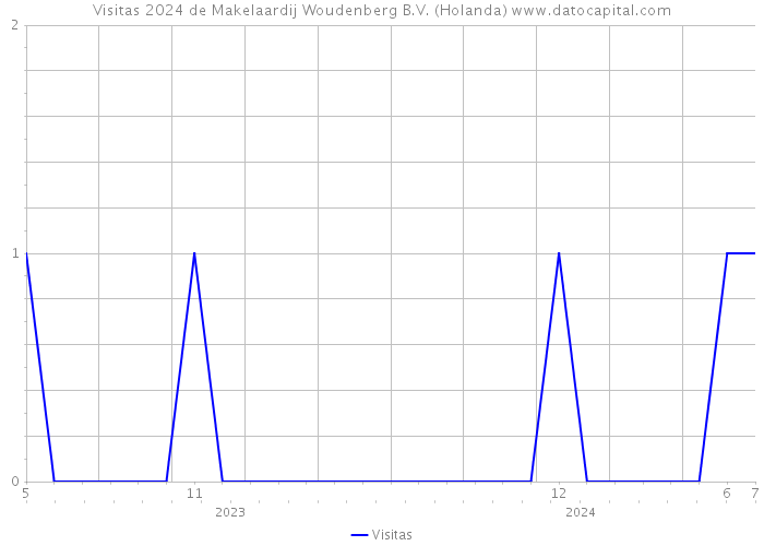 Visitas 2024 de Makelaardij Woudenberg B.V. (Holanda) 