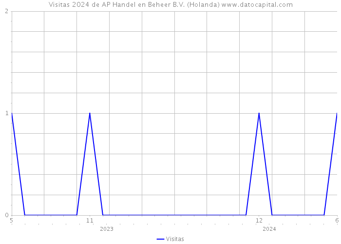 Visitas 2024 de AP Handel en Beheer B.V. (Holanda) 