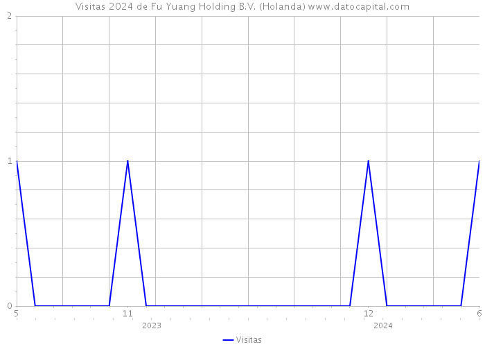 Visitas 2024 de Fu Yuang Holding B.V. (Holanda) 