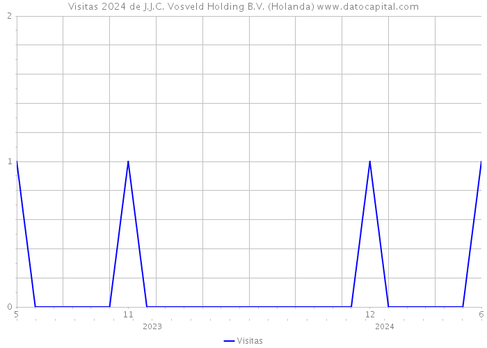 Visitas 2024 de J.J.C. Vosveld Holding B.V. (Holanda) 