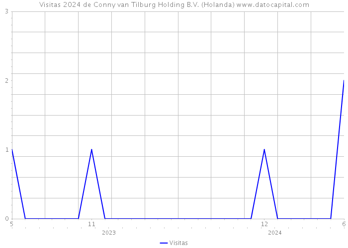 Visitas 2024 de Conny van Tilburg Holding B.V. (Holanda) 