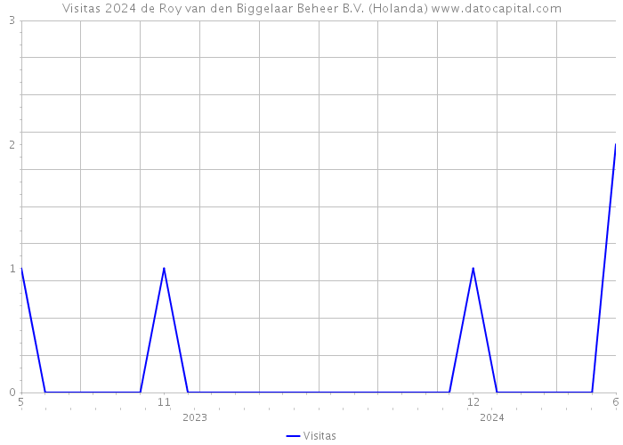 Visitas 2024 de Roy van den Biggelaar Beheer B.V. (Holanda) 