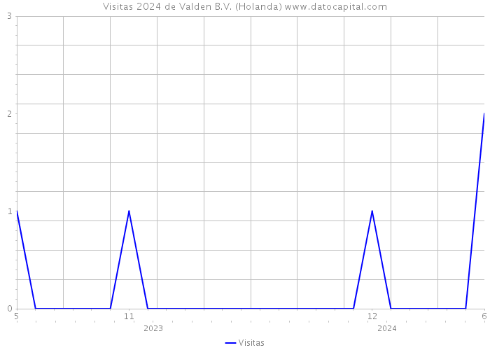 Visitas 2024 de Valden B.V. (Holanda) 