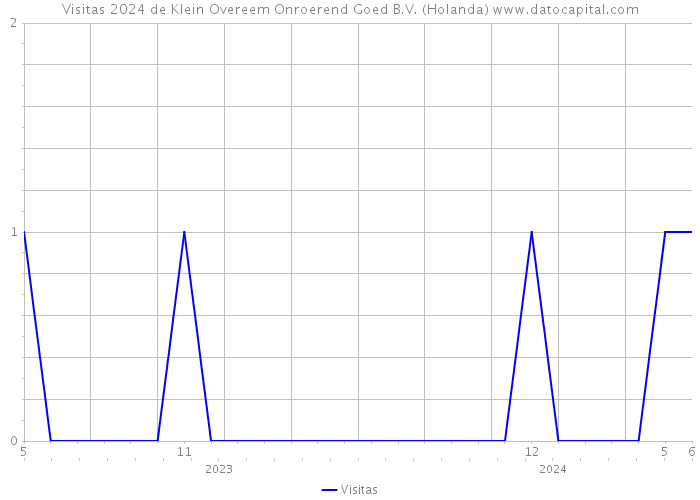 Visitas 2024 de Klein Overeem Onroerend Goed B.V. (Holanda) 