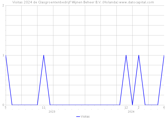 Visitas 2024 de Glasgroentenbedrijf Wijnen Beheer B.V. (Holanda) 