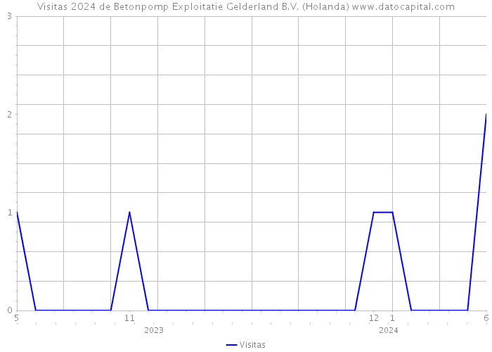 Visitas 2024 de Betonpomp Exploitatie Gelderland B.V. (Holanda) 