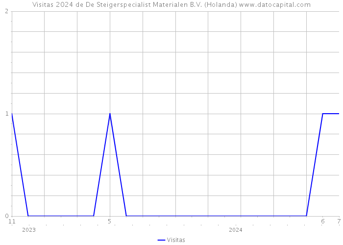 Visitas 2024 de De Steigerspecialist Materialen B.V. (Holanda) 