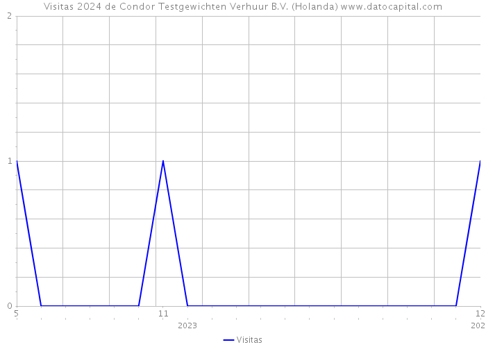 Visitas 2024 de Condor Testgewichten Verhuur B.V. (Holanda) 