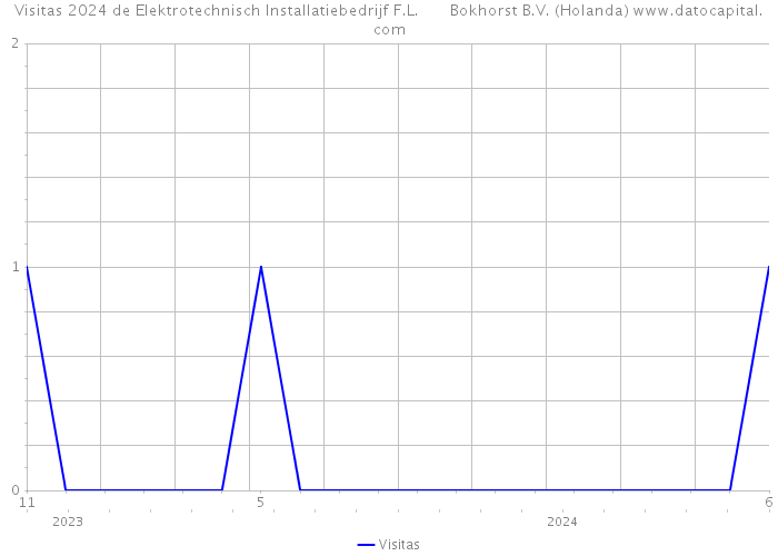 Visitas 2024 de Elektrotechnisch Installatiebedrijf F.L. Bokhorst B.V. (Holanda) 