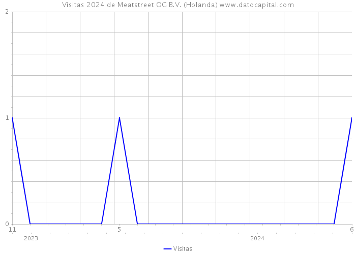 Visitas 2024 de Meatstreet OG B.V. (Holanda) 