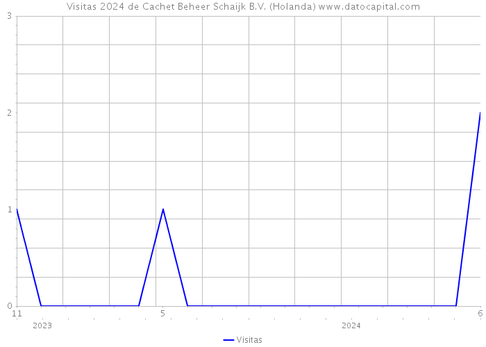 Visitas 2024 de Cachet Beheer Schaijk B.V. (Holanda) 