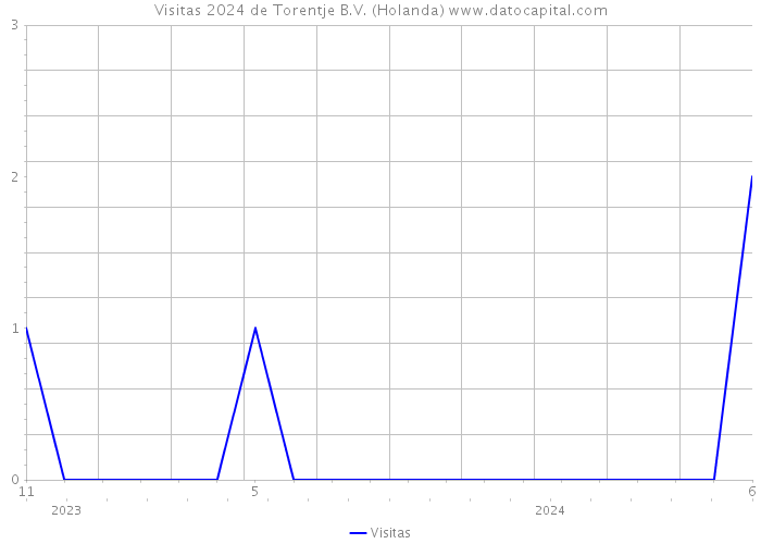 Visitas 2024 de Torentje B.V. (Holanda) 