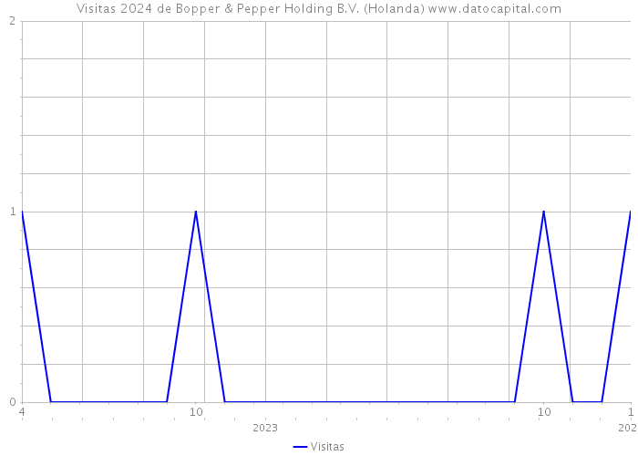 Visitas 2024 de Bopper & Pepper Holding B.V. (Holanda) 