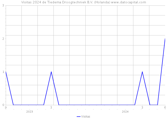 Visitas 2024 de Tiedema Droogtechniek B.V. (Holanda) 