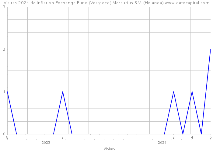 Visitas 2024 de Inflation Exchange Fund (Vastgoed) Mercurius B.V. (Holanda) 