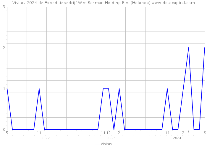 Visitas 2024 de Expeditiebedrijf Wim Bosman Holding B.V. (Holanda) 