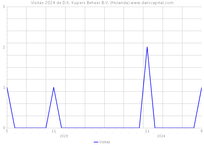 Visitas 2024 de D.K. Kupers Beheer B.V. (Holanda) 