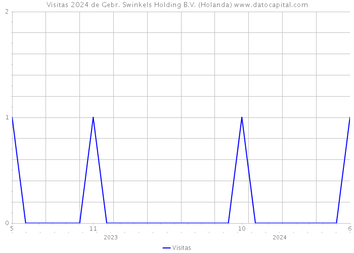 Visitas 2024 de Gebr. Swinkels Holding B.V. (Holanda) 