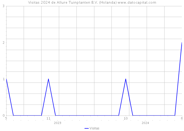 Visitas 2024 de Allure Tuinplanten B.V. (Holanda) 