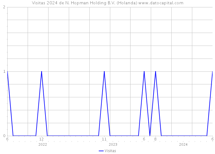 Visitas 2024 de N. Hopman Holding B.V. (Holanda) 