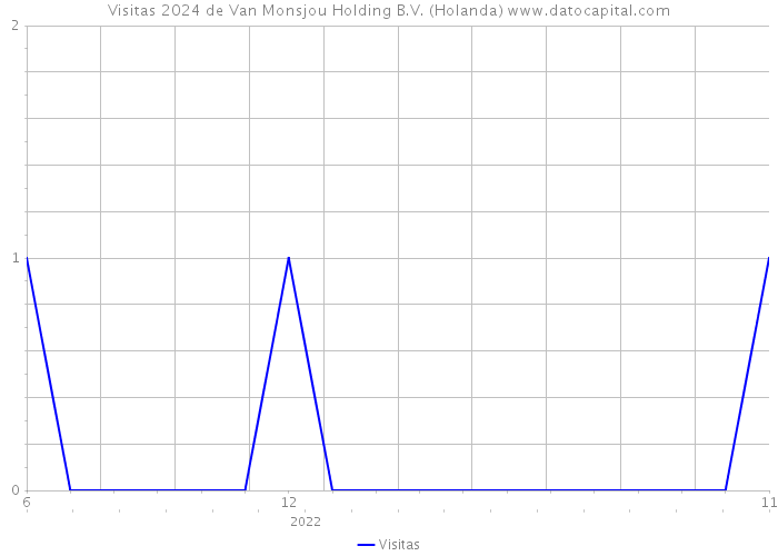 Visitas 2024 de Van Monsjou Holding B.V. (Holanda) 