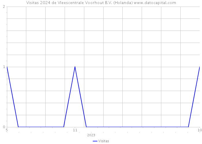 Visitas 2024 de Vleescentrale Voorhout B.V. (Holanda) 