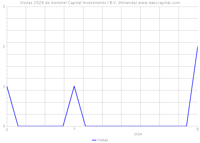 Visitas 2024 de Aemstel Capital Investments I B.V. (Holanda) 