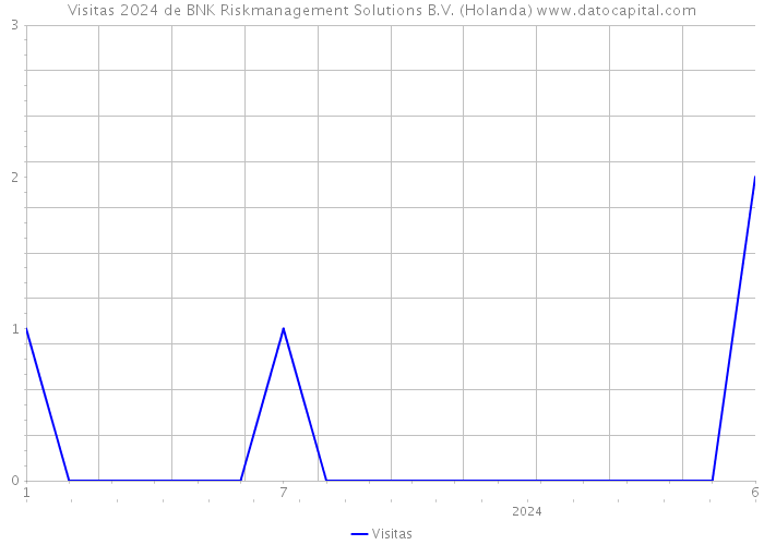 Visitas 2024 de BNK Riskmanagement Solutions B.V. (Holanda) 