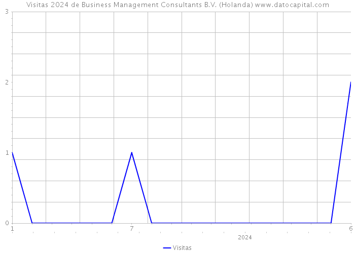 Visitas 2024 de Business Management Consultants B.V. (Holanda) 