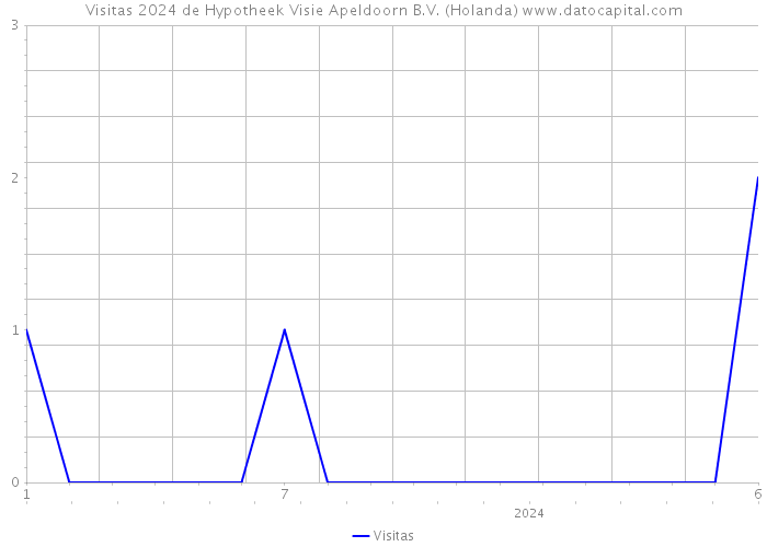 Visitas 2024 de Hypotheek Visie Apeldoorn B.V. (Holanda) 