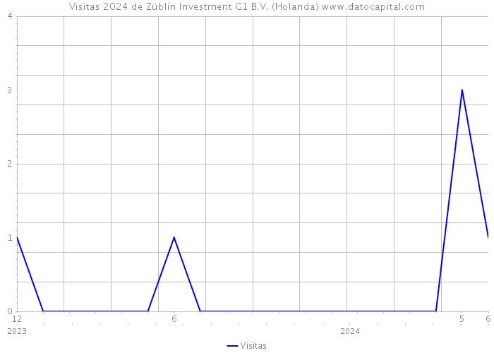 Visitas 2024 de Züblin Investment G1 B.V. (Holanda) 
