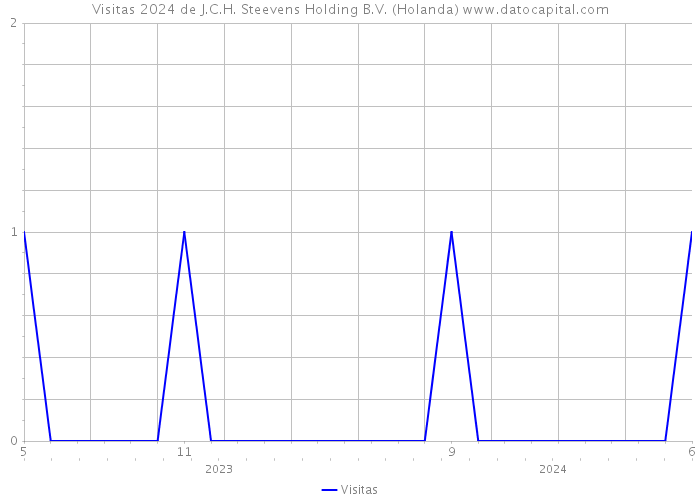 Visitas 2024 de J.C.H. Steevens Holding B.V. (Holanda) 