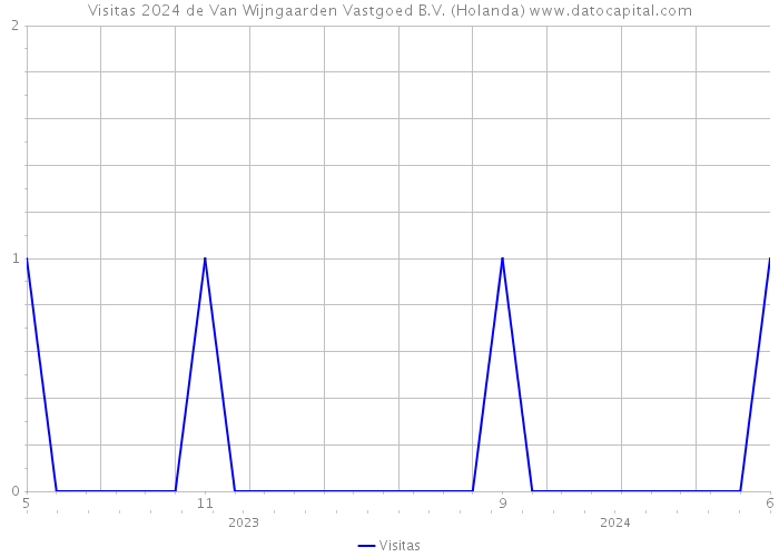 Visitas 2024 de Van Wijngaarden Vastgoed B.V. (Holanda) 