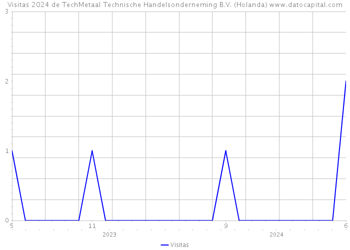 Visitas 2024 de TechMetaal Technische Handelsonderneming B.V. (Holanda) 