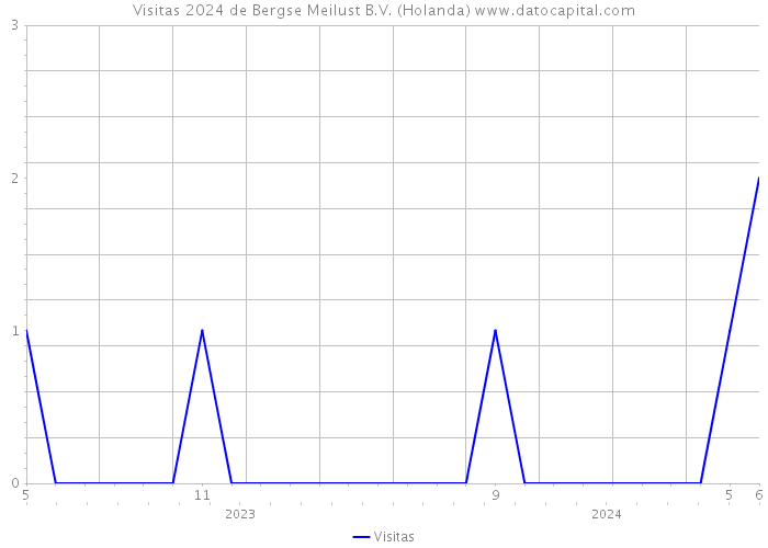 Visitas 2024 de Bergse Meilust B.V. (Holanda) 