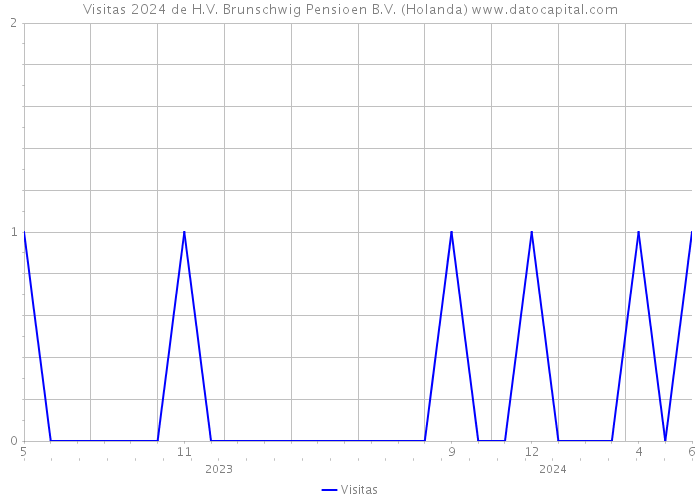 Visitas 2024 de H.V. Brunschwig Pensioen B.V. (Holanda) 