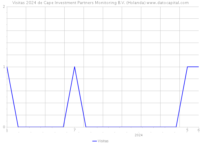 Visitas 2024 de Cape Investment Partners Monitoring B.V. (Holanda) 