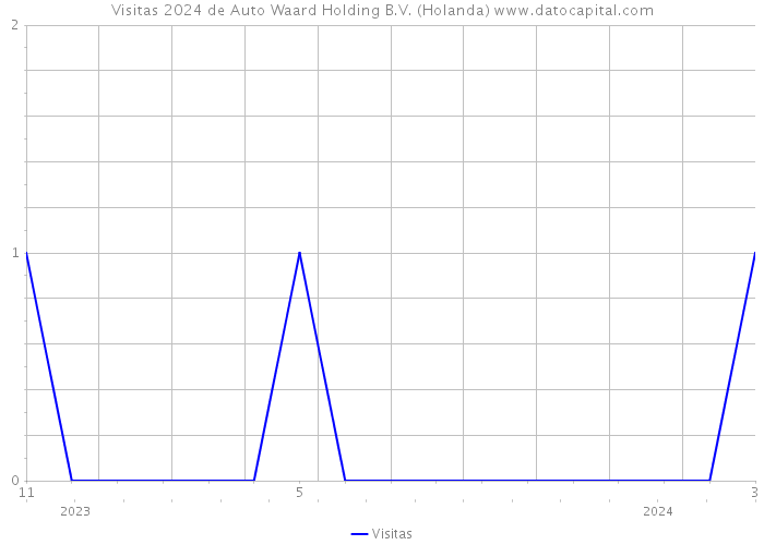 Visitas 2024 de Auto Waard Holding B.V. (Holanda) 