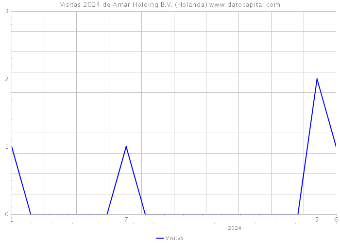 Visitas 2024 de Amar Holding B.V. (Holanda) 