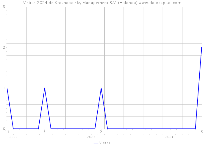 Visitas 2024 de Krasnapolsky Management B.V. (Holanda) 