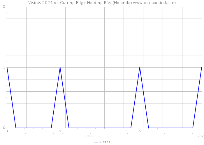 Visitas 2024 de Cutting Edge Holding B.V. (Holanda) 
