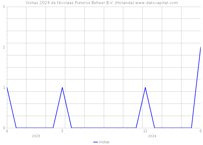 Visitas 2024 de Nicolaas Pieterse Beheer B.V. (Holanda) 