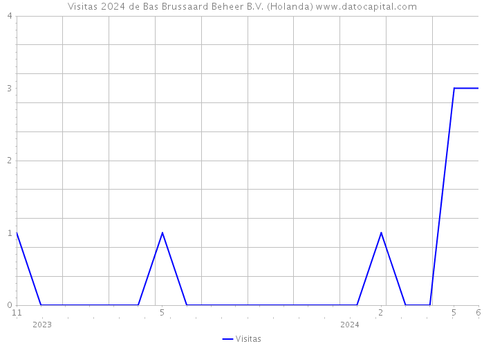 Visitas 2024 de Bas Brussaard Beheer B.V. (Holanda) 