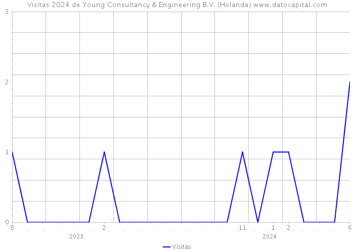 Visitas 2024 de Young Consultancy & Engineering B.V. (Holanda) 