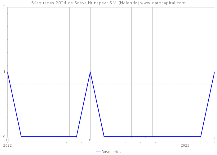 Búsquedas 2024 de Boeve Nunspeet B.V. (Holanda) 