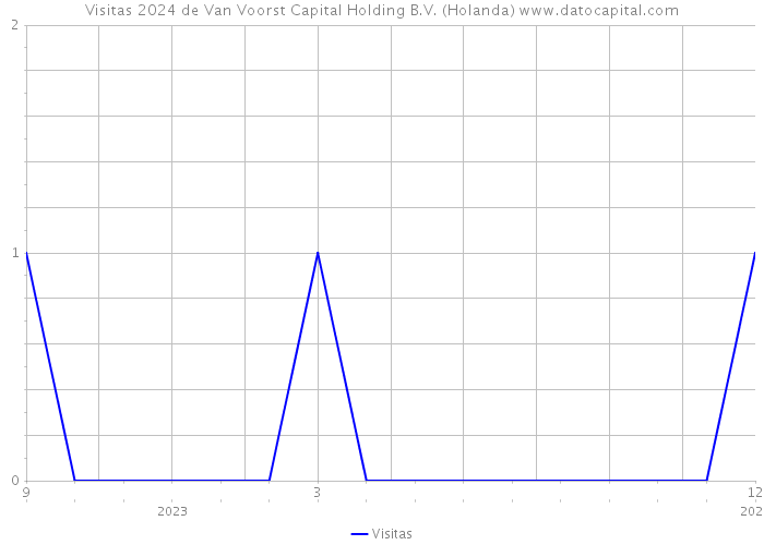 Visitas 2024 de Van Voorst Capital Holding B.V. (Holanda) 