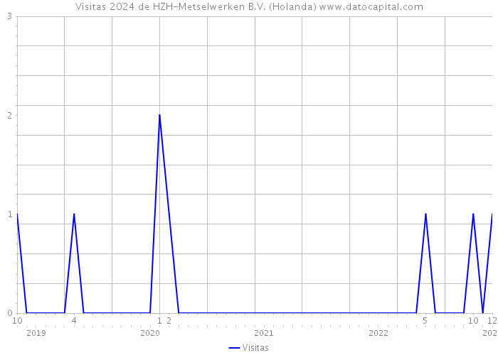 Visitas 2024 de HZH-Metselwerken B.V. (Holanda) 