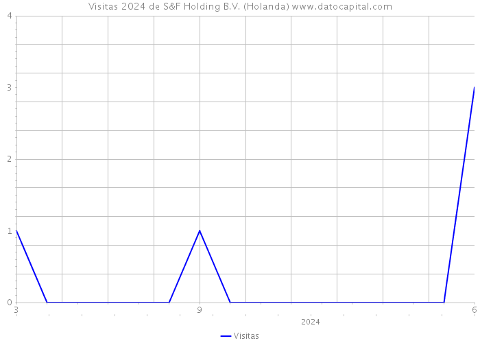 Visitas 2024 de S&F Holding B.V. (Holanda) 