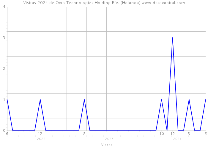 Visitas 2024 de Octo Technologies Holding B.V. (Holanda) 